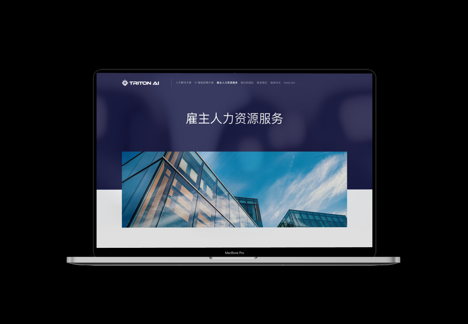 web design for human resources solutions consultancy